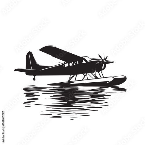 silhouette of a seaplane