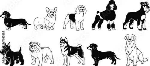 Dog breed silhouette collection, domestic pet set, various dogs, canine animals, standing poses, puppy illustration, isolated vector, pet lover design