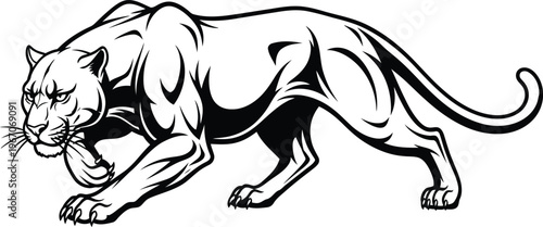 Powerful Black Panther in a Dynamic Stance Vector Illustration.