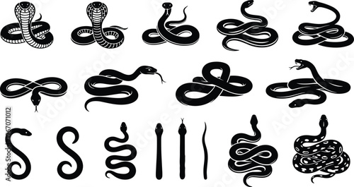 Snake silhouette collection, cobra and python set, reptile poses, wild animals, crawling serpent shapes, wildlife illustration, isolated vector design