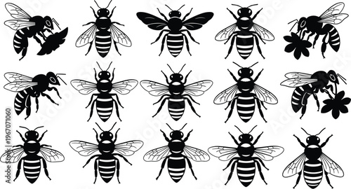 Bee silhouette collection, honey bee set, pollinator insects, flying bees, apiary concept, nature wildlife, isolated vector illustration, black insect design