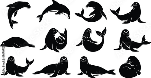 Seal and sea lion silhouette collection, marine mammals set, ocean wildlife animals, aquatic poses, underwater creatures, sea life vector illustration