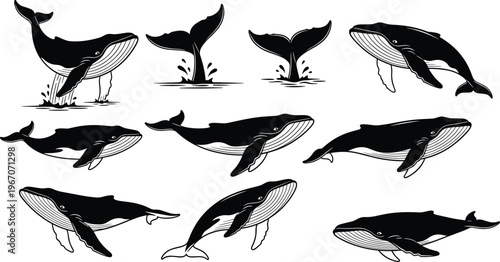 Whale jumping silhouette set, humpback whale collection, marine mammals, ocean wildlife, underwater animals, sea life illustration, aquatic vector design