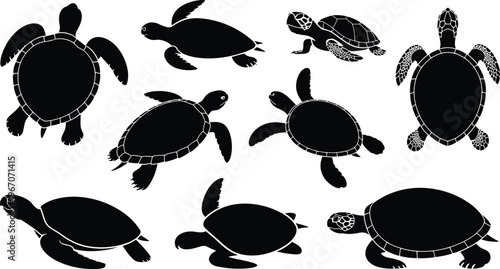 Collection of Black Turtle Silhouettes in Various Views on a White Background Keywords: turtles, silhouettes, black, white background, sea turtles, marine life, reptiles, animals, wildlife