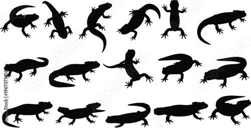 Lizard silhouette collection, gecko reptile set, amphibian poses, wildlife animal shapes, crawling creatures, exotic fauna, nature illustration, vector design