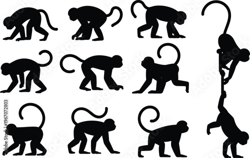 Variety of Black Monkey Silhouettes in Different Actions on a White Background Keywords: monkeys, silhouettes, black, white background, primates, apes, animals, wildlife, jungle, zoo