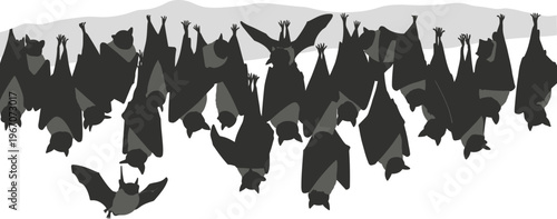 Large group of hanging bats silhouette against grey sky with cave dweller with graphic resource with wild animal