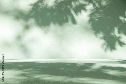 Minimalist Sage Green Interior Background, Aesthetic Room Scene with Organic Tree Leaf Shadows and Natural Sunlight Textures.