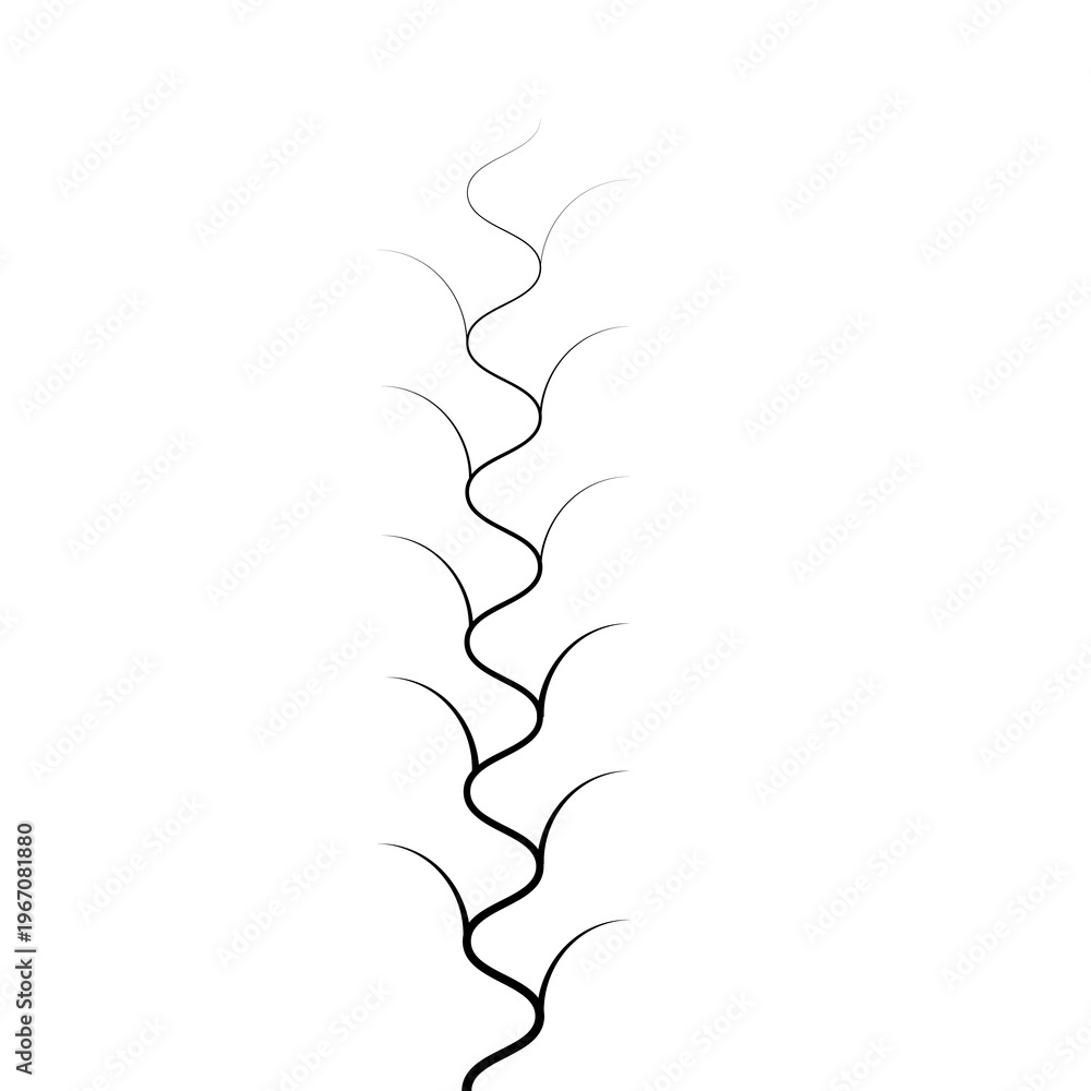 Fototapeta premium black and white background