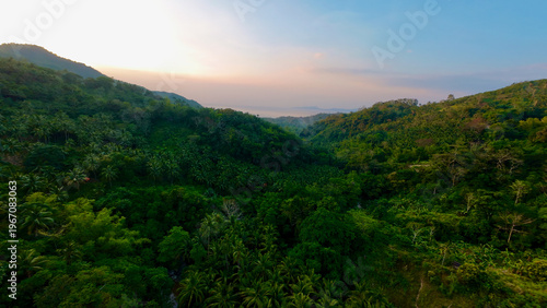 Aerial view of lush tropical valley with dense jungle and rolling hills at sunset. Warm light over green forest landscape with distant horizon and soft sky.