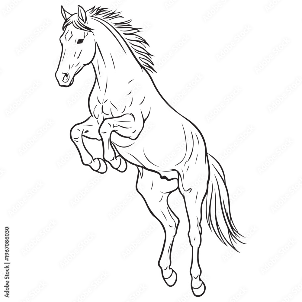 Obraz premium Dynamic Rearing Horse Line Art Illustration