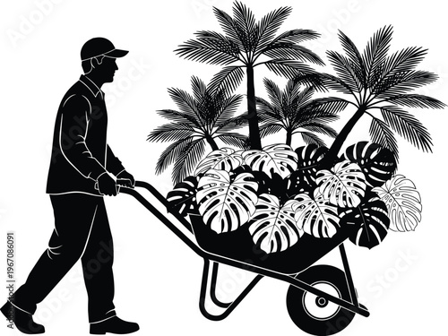 Black silhouette of a male gardener pushing a wheelbarrow filled with tropical palm trees and monstera leaves representing landscaping gardening nursery work and horticulture