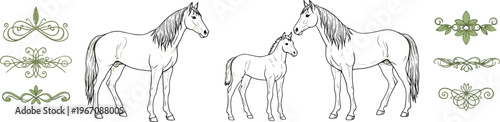 Vintage horse engraving vector illustration set with mare and foal farm animals and decorative ornamental flourishes