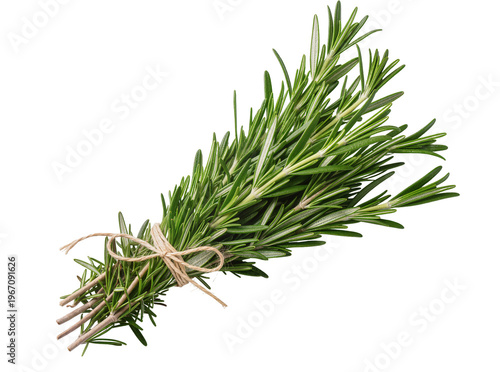 Foto Fresh green rosemary sprigs tied with natural twine, a fragrant herb isolated PN