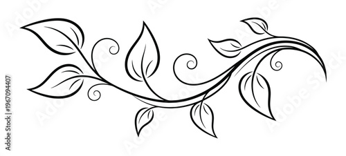 Elegant floral swirl a black and white line drawing of delicate leaves and vines