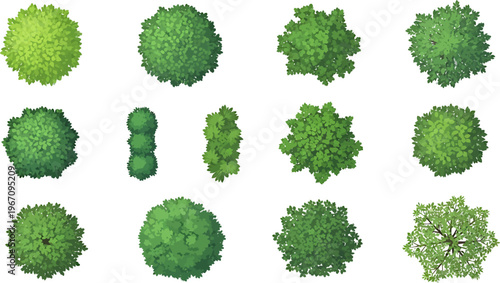 Top View Vector Illustration Set of Diverse Green Trees and Bushes for Landscaping