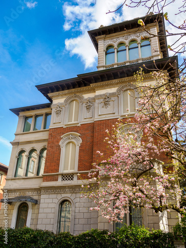 Magnolia flowering plants at Piazza Tommaseo in Milan, Italy