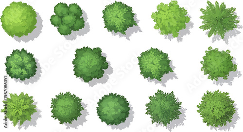 Top View Vector Illustration Set of Various Green Trees and Bushes with Shadows