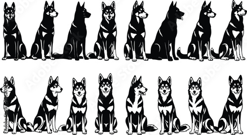 Dog silhouettes collection featuring husky breed in sitting and standing poses isolated on white background animal vector illustration set