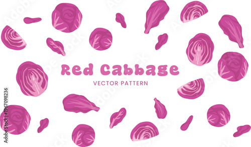 Red Cabbage vegetable vector hand drawn