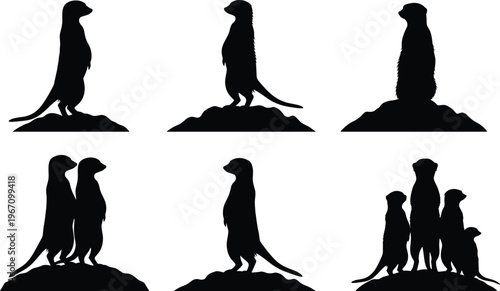Meerkat silhouettes, standing upright poses, alert posture, animal mound, group behavior, wildlife vector, nature illustration, zoological design composition