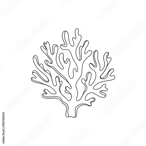 coral reef marine organism underwater sea nature ocean ecosystem. Used for environment, marine life, and ecology topics