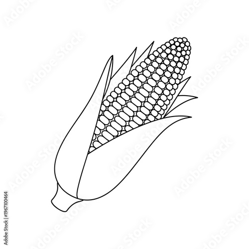 corn grain agricultural crop plant food staple farming product. Used for agriculture, food production, and farming themes