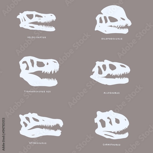фотографія Minimalist set of carnivorous dinosaur skull silhouettes: velociraptor, dilophosaurus, tyrannosaurus rex, allosaurus, spinosaurus and carnotaurus on neutral background