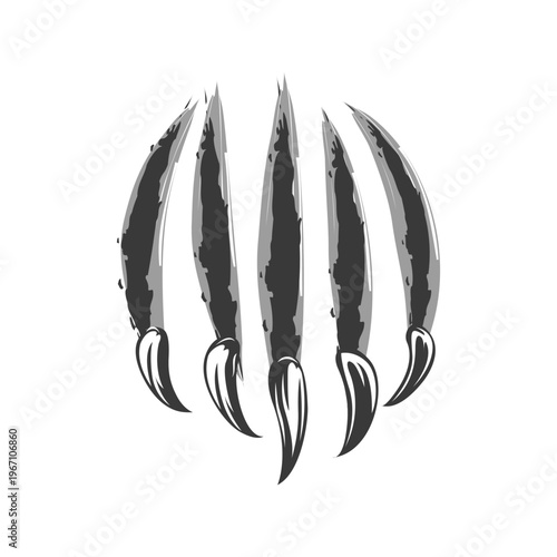 Wild animal claw vector scratches. Black and white art