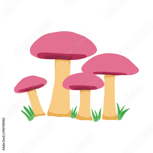 Cluster of four pink forest mushrooms with grass vector illustration. Hand drawn pink fungi clipart for nature and whimsical design