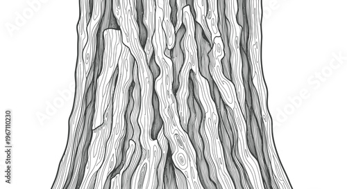 Detailed illustration of a tree trunk texture, black and white drawing, close-up
