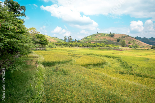 SonLa, North Vietnam, Asia