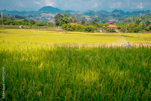 SonLa, North Vietnam, Asia
