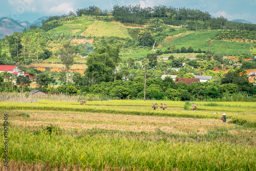 SonLa, North Vietnam, Asia
