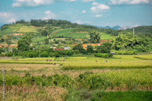 SonLa, North Vietnam, Asia