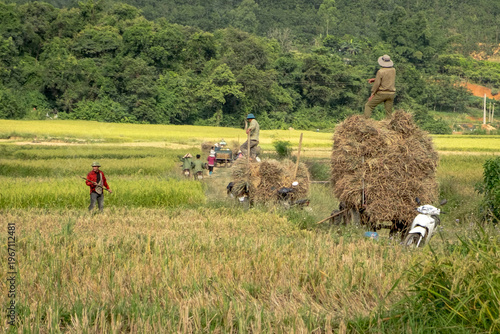 SonLa, North Vietnam, Asia