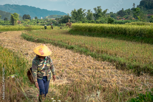SonLa, North Vietnam, Asia