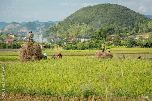 SonLa, North Vietnam, Asia