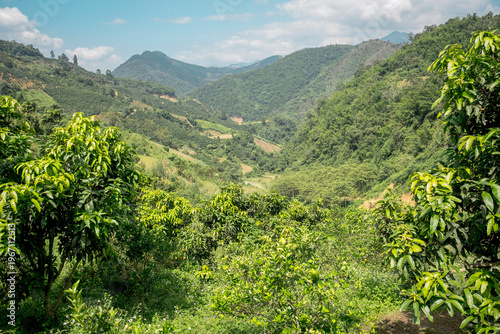 SonLa, North Vietnam, Asia