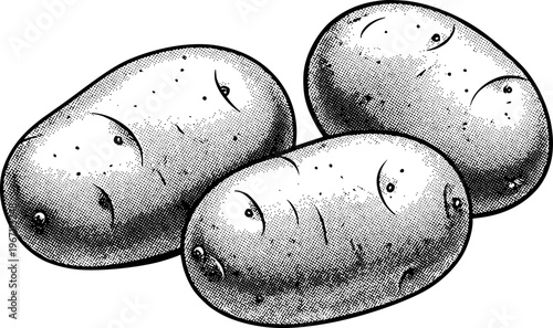 Whole raw potatoes in a vintage black and white halftone style food vegetable