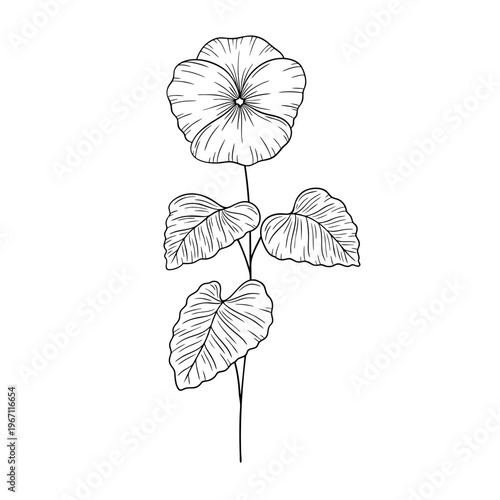 February birth flower violet in line art vector style. Black and white botanical illustration with elegant floral sketch, minimalist outline, hand drawn monochrome flower design, vintage aesthetic.