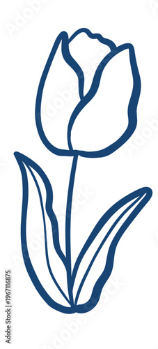 vector illustration of a tulip