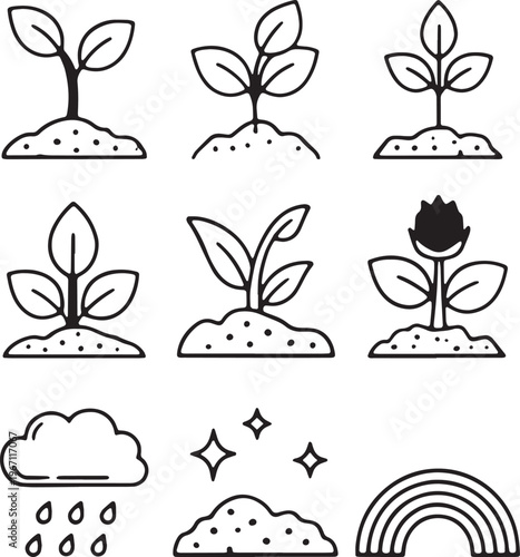 Black and white line plants growing in soil with weather
