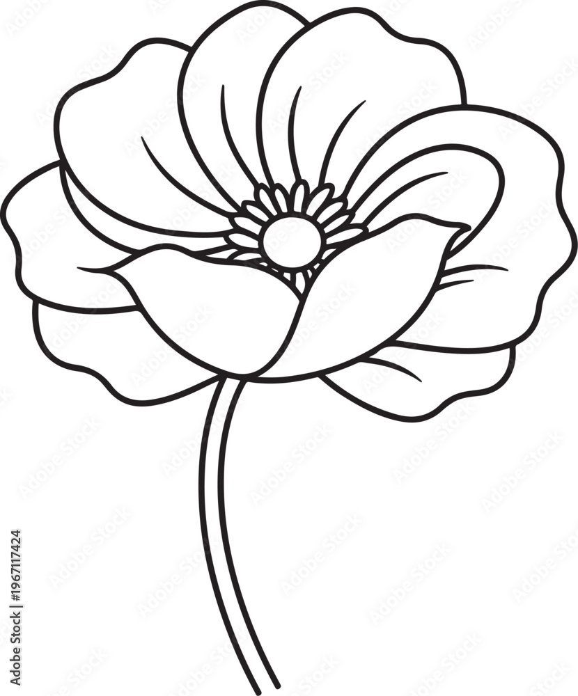 Fototapeta premium Hand-Drawn Flower Line Art – Minimal Botanical Illustration