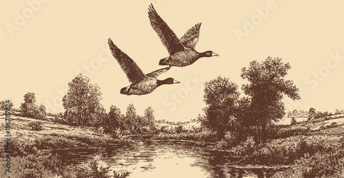 Vector illustration of a flying duck silhouette.

