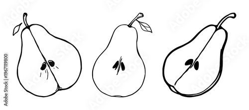 Pear slice set with black line art vintage botanical design featuring pear, leaf, fruit illustration with botanical and foliage