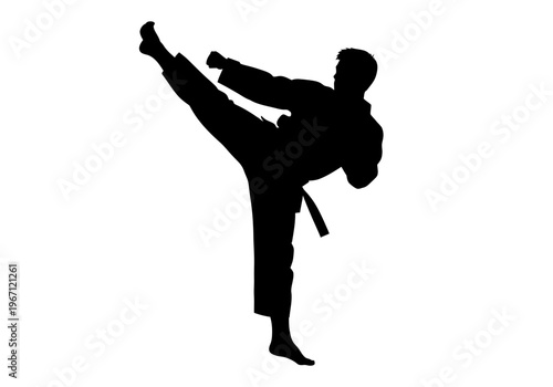 Black silhouette of martial artist performing a high side kick against a white background