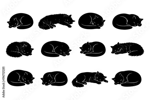 Silhouette of cats sleeping in various positions illustrating resting felines.