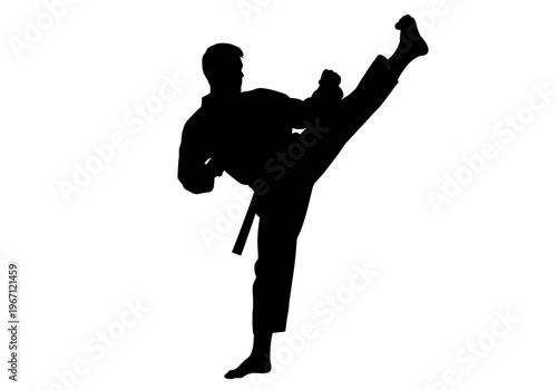 Black silhouette of a martial artist executing a high side kick against a white background
