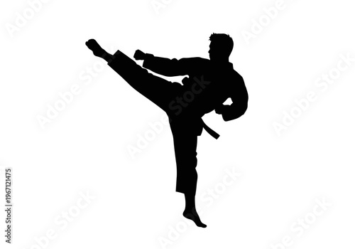 Black silhouette of a martial artist executing a high side kick against a white background